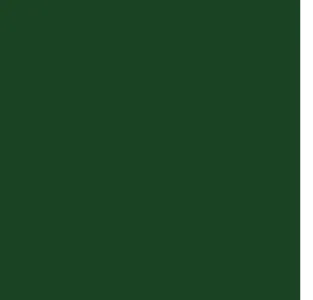 Couleur de profilé d'aluminium Vert conifère pour porte de garage California