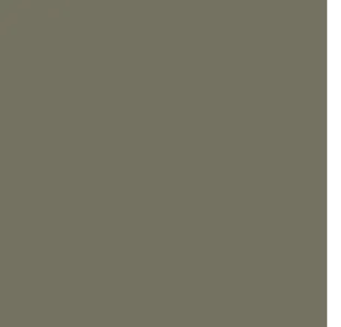 Couleur de profilé d'aluminium Terre glaise pour porte de garage California