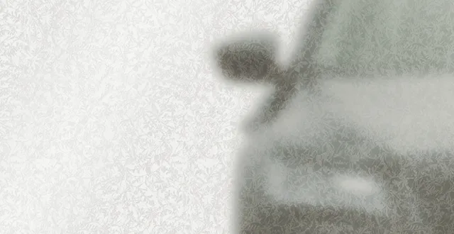 Type de verre Givré